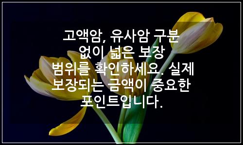 오늘의 이미지