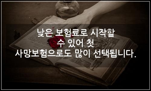 오늘의 이미지