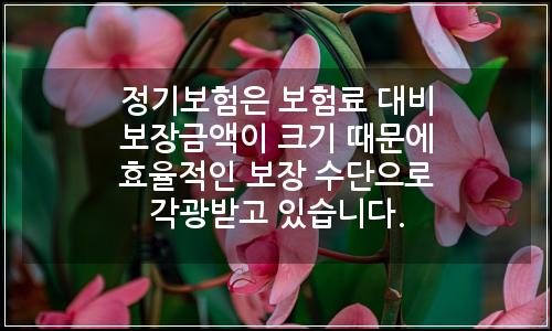 오늘의 이미지