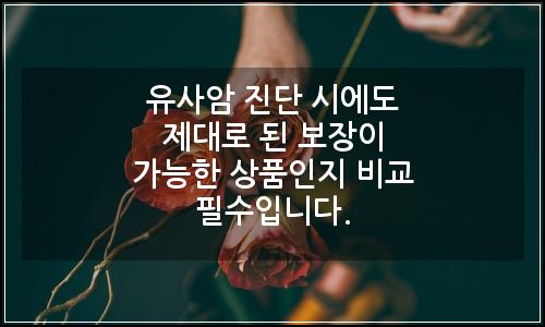 오늘의 이미지