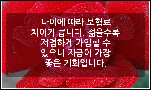 오늘의 이미지