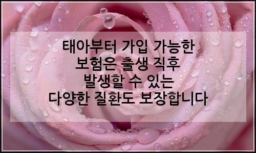 오늘의 이미지