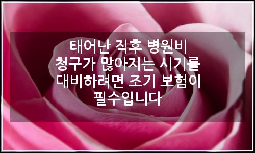 오늘의 이미지