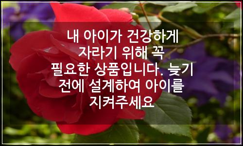 오늘의 이미지