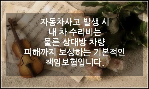 오늘의 이미지