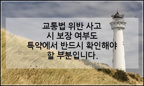 오늘의 이미지