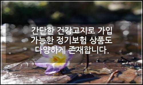 오늘의 이미지