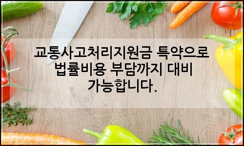 오늘의 이미지