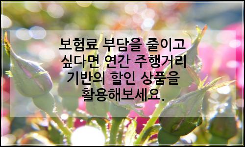 오늘의 이미지
