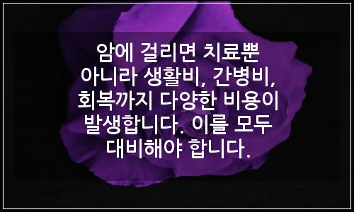 오늘의 이미지