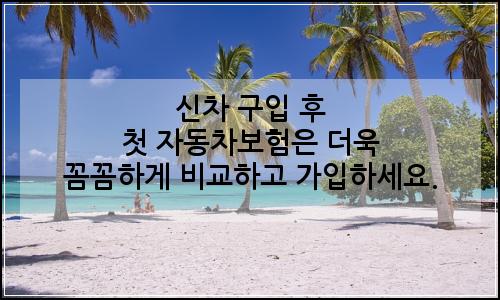오늘의 이미지