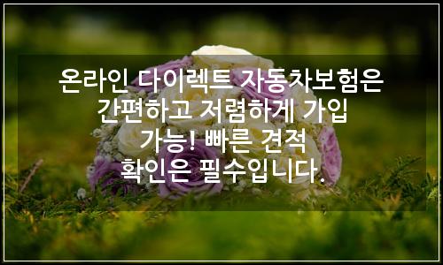 오늘의 이미지