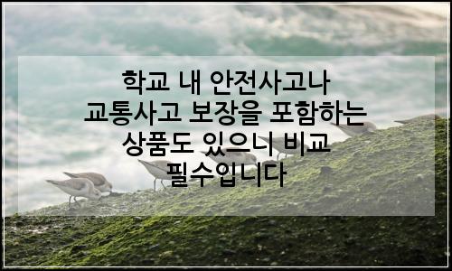 오늘의 이미지