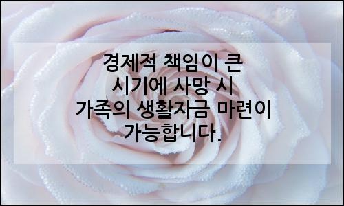 오늘의 이미지
