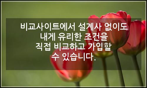 오늘의 이미지