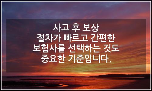오늘의 이미지
