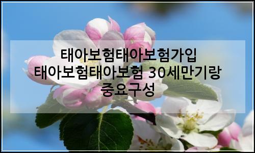오늘의 이미지