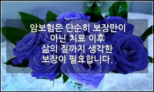 오늘의 이미지