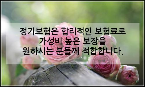 오늘의 이미지