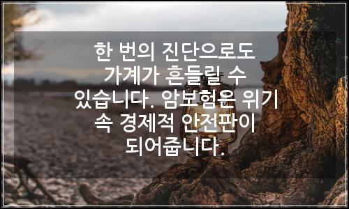 오늘의 이미지