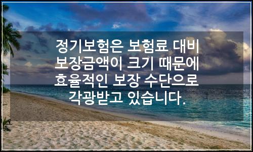 오늘의 이미지