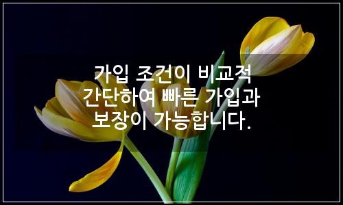 오늘의 이미지