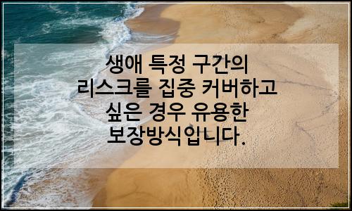 오늘의 이미지