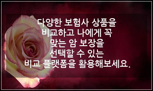 오늘의 이미지