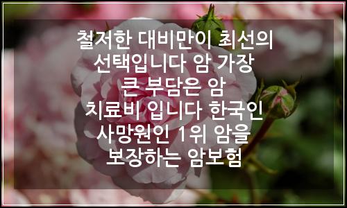 오늘의 이미지