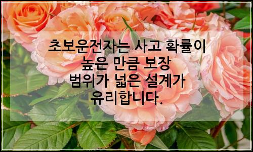 오늘의 이미지