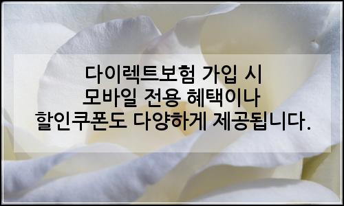 오늘의 이미지