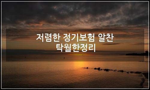 오늘의 이미지