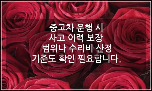 오늘의 이미지