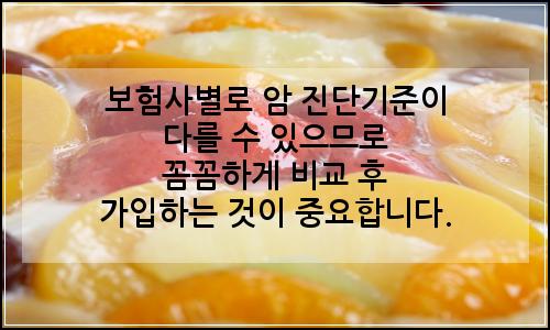 오늘의 이미지