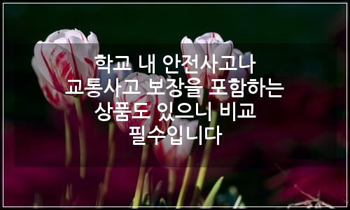 오늘의 이미지