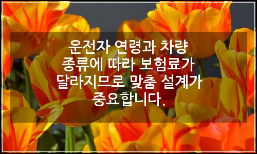 오늘의 이미지