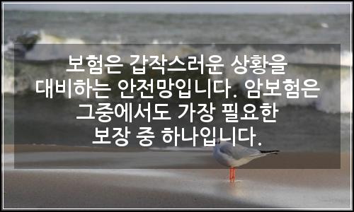 오늘의 이미지