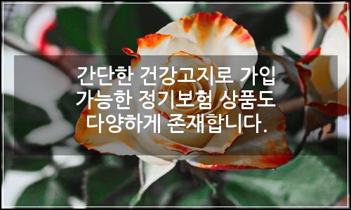 오늘의 이미지