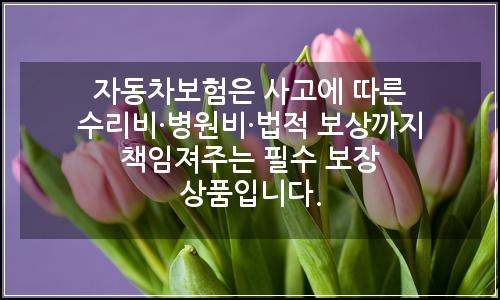 오늘의 이미지