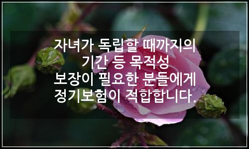 오늘의 이미지