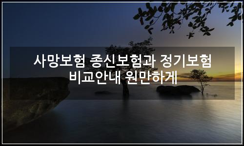 오늘의 이미지