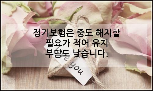 오늘의 이미지