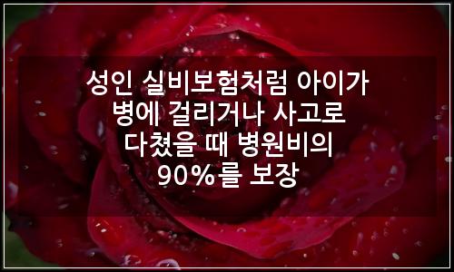 오늘의 이미지