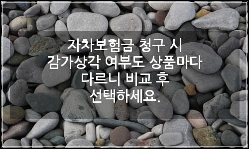 오늘의 이미지