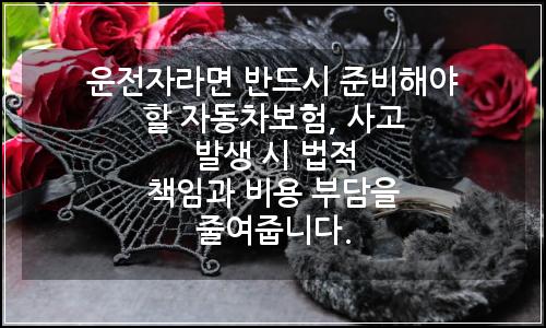 오늘의 이미지