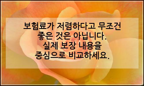 오늘의 이미지