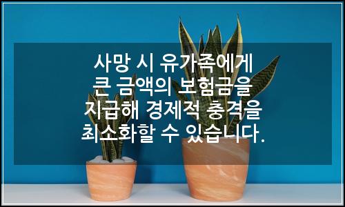 오늘의 이미지