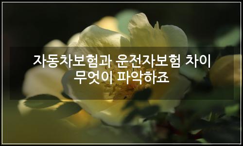 오늘의 이미지