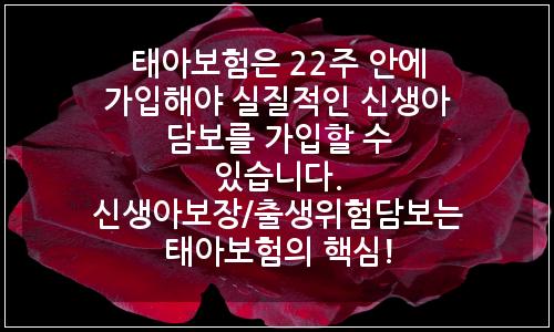 오늘의 이미지