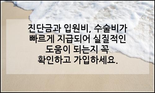 오늘의 이미지